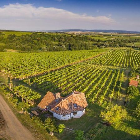 Robinson Vila Kitokret Kutjevo 外观 照片