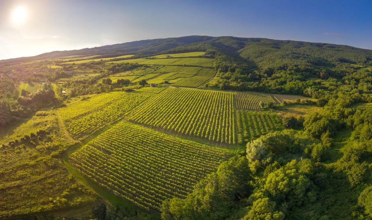 Robinson Vila Kitokret Kutjevo 外观 照片