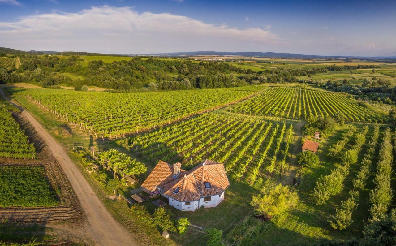Robinson Vila Kitokret Kutjevo 外观 照片