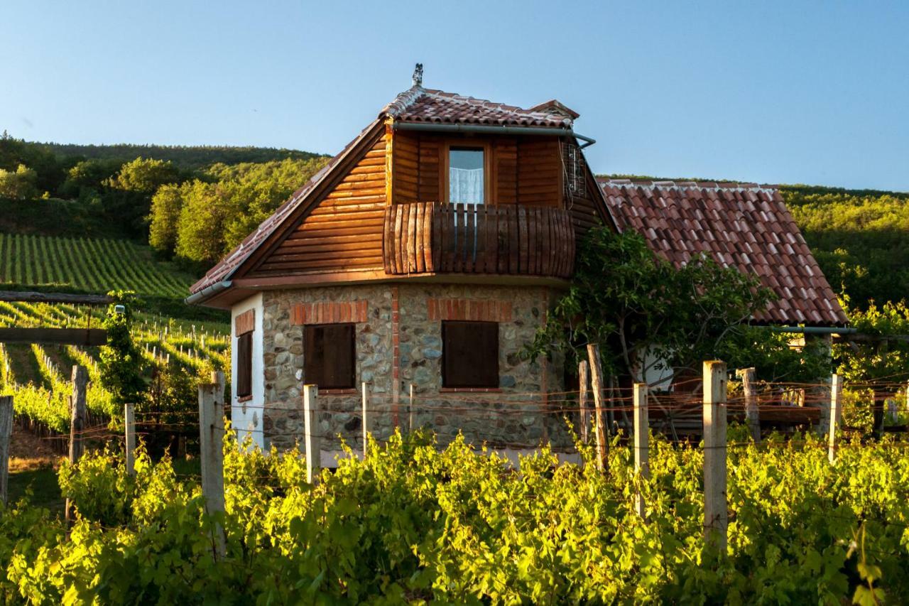 Robinson Vila Kitokret Kutjevo 外观 照片