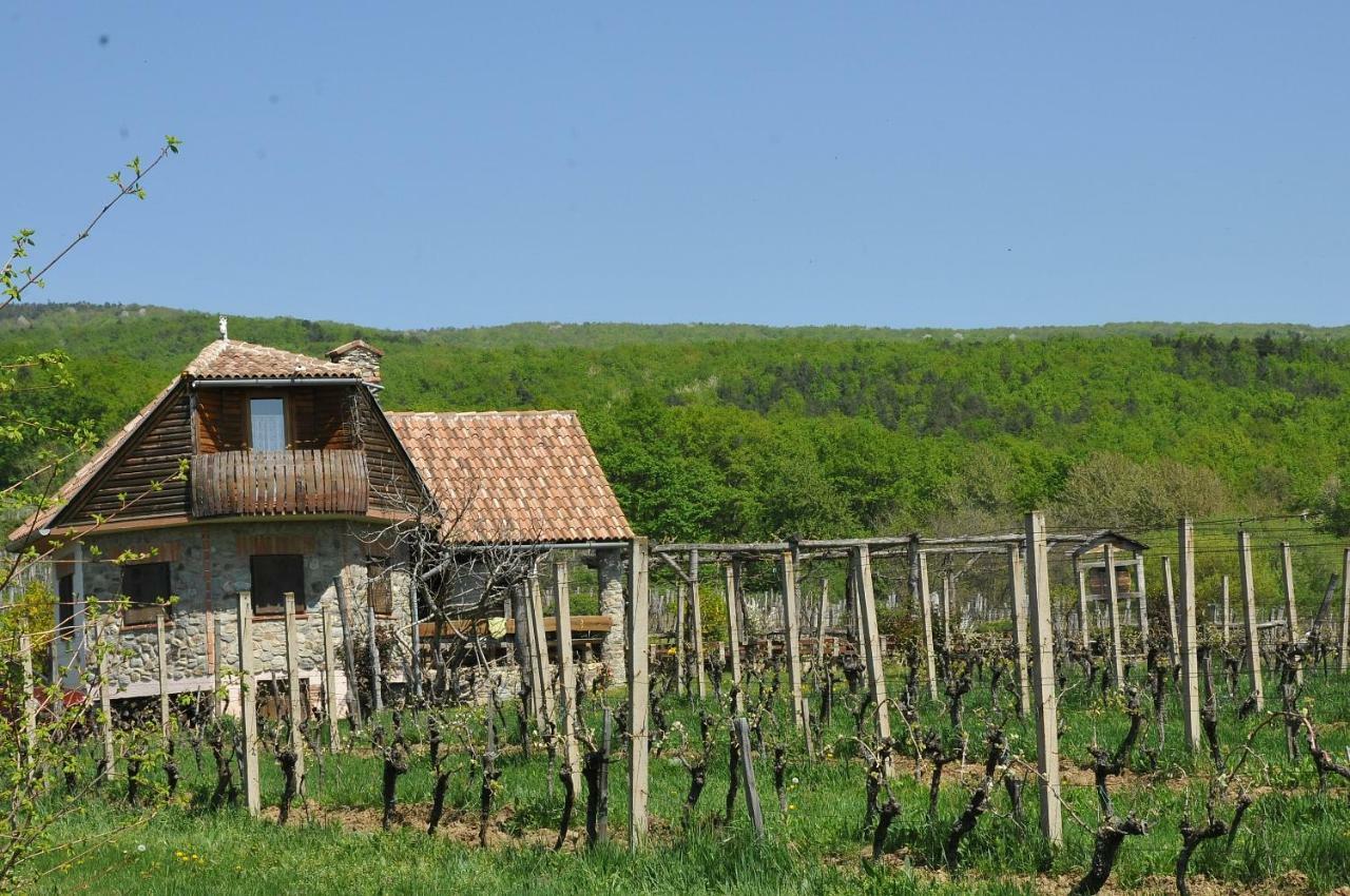 Robinson Vila Kitokret Kutjevo 外观 照片
